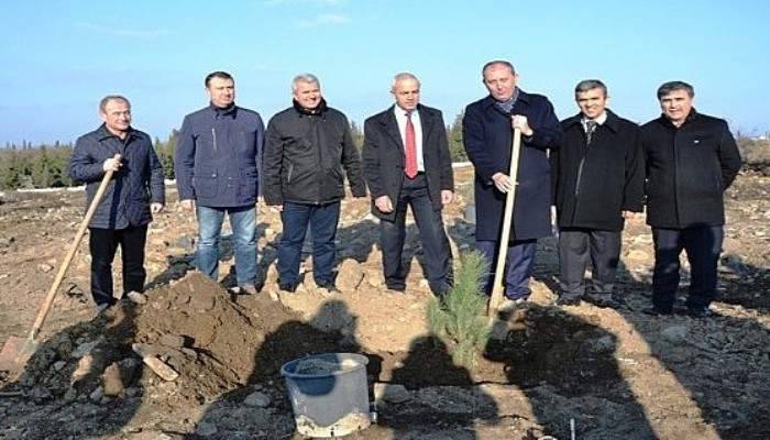 Kozçeşme köyü merasına tohum ekildi