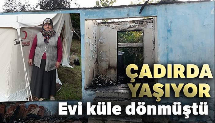 Evi yanan ve çadırda kalan yaşlı kadın yardım bekliyor