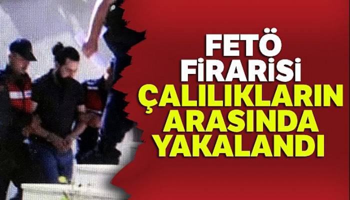 Bayram ziyareti için Yozgat'a gelen FETÖ firarisi çalılıkların arasında yakalandı