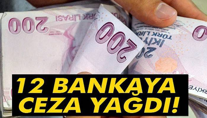 12 bankaya 1.1 milyar TL kartel faizi cezası