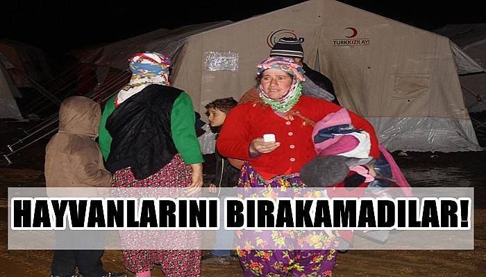 Hayvanlarını bırakamadılar!