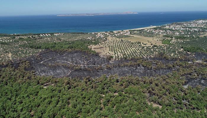 Çanakkale'deki 52 orman yangınında 222 hektar alan kül oldu