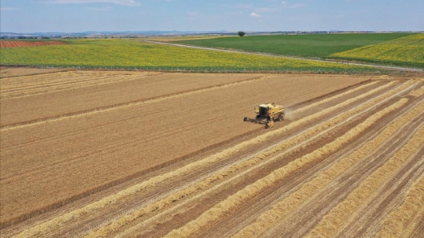 Tarım Sigortalarında Büyük Artış: Sigorta Bedeli %115,5 Yükseldi
