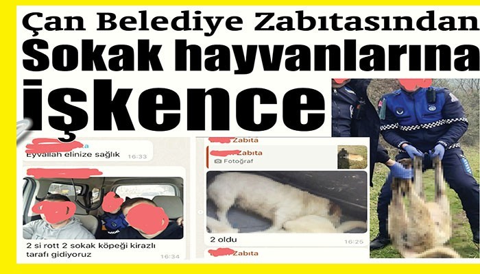 'ÇAN BELEDİYESİ'NDE VAHSET VAR!'