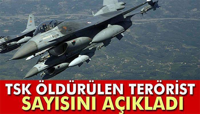 TSK öldürülen terörist sayısını açıkladı