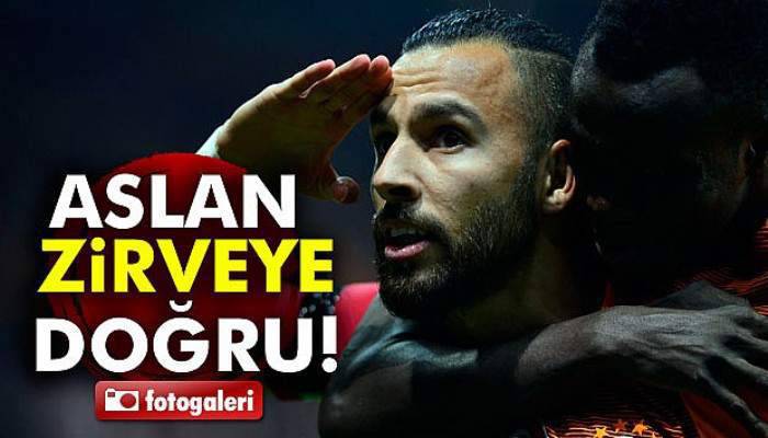 Aslan zirveye doğru