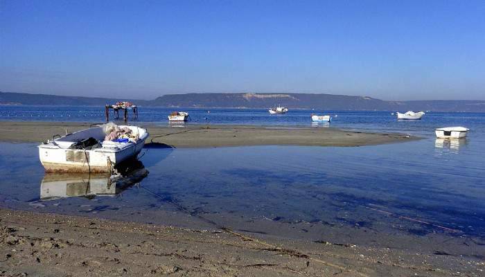 Korkutan görüntü, deniz 10 metre çekildi