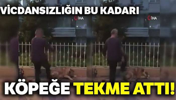 Köpeğe tekme atan şahıs kamerada