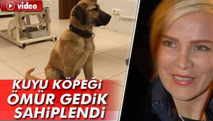  Kuyu köpeği Ömür Gedik sahiplendi 