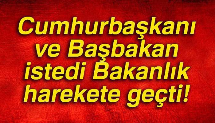 Cumhurbaşkanı ve Başbakan istedi Bakanlık harekete geçti!