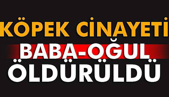 Baba-oğul köpek yüzünden öldürüldü