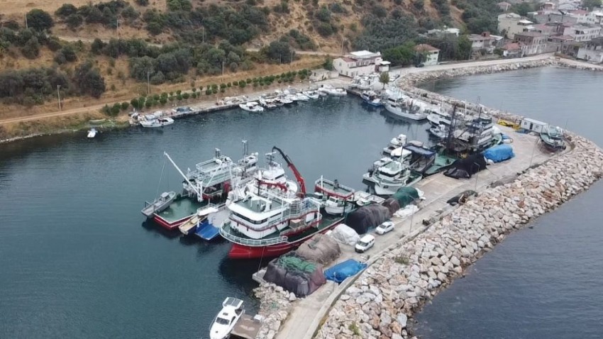 Barınaklarda Sezon Öncesi Hareketlilik Var