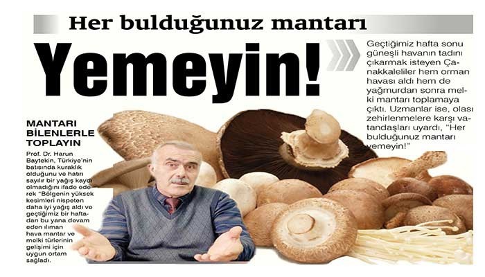 Her bulduğunuz mantarı yemeyin!