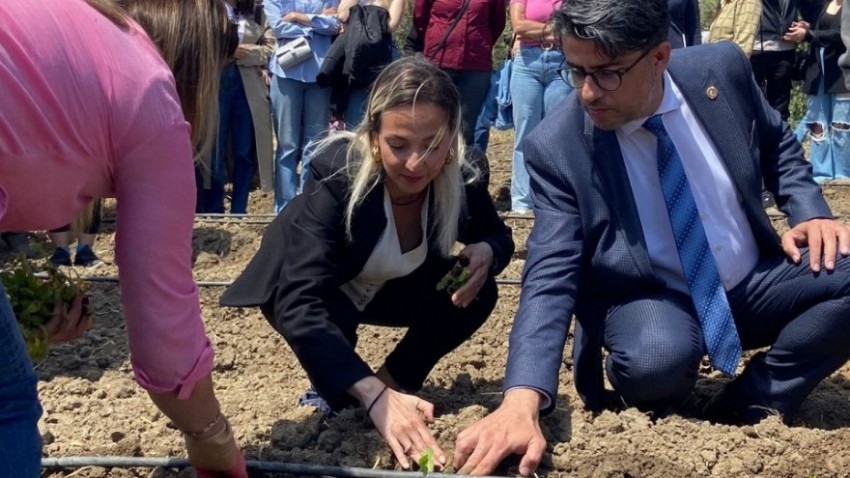 Çanakkale’nin İlk Süs Bitkileri Hasat İçin Gün Sayıyor