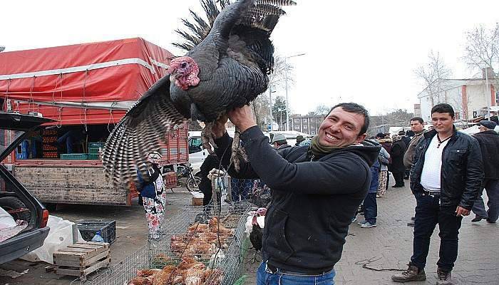  Yılbaşı hindileri görücüye çıktı