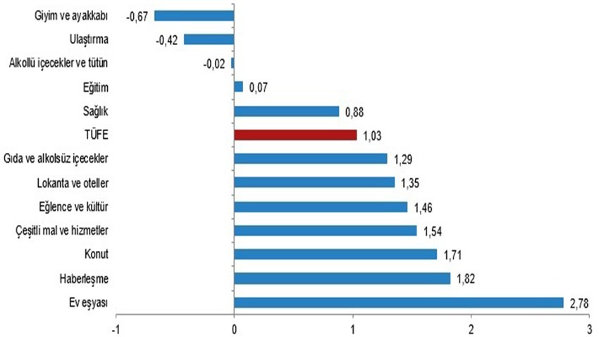  TÜFE yıllık %44,38, aylık %1,03 arttı