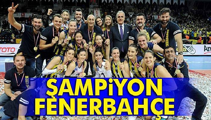 Kupa Voley’de şampiyon Fenerbahçe