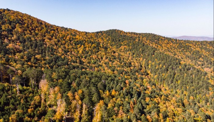 Kazdağları’nda Sonbahar Başkadır