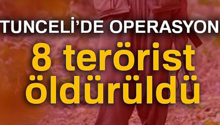 Tunceli'de hava destekli operasyon: 8 terörist öldürüldü