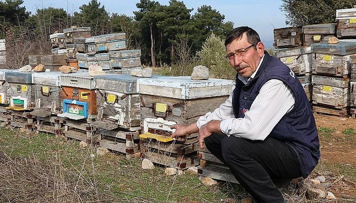 Barakada kalıyor, arılarla yatıp arılarla kalkıyor