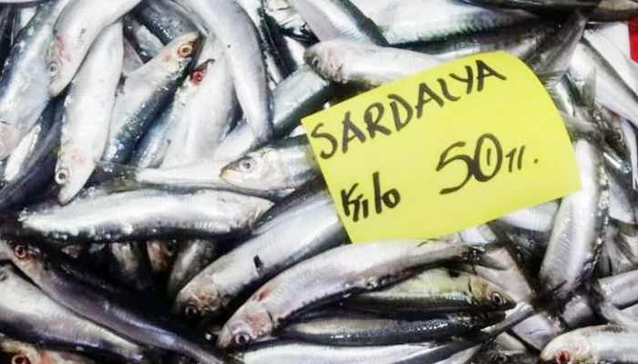 SARDALYE 50 LİRAYA DÜŞEREK GERÇEK DEĞERİNİ BULDU