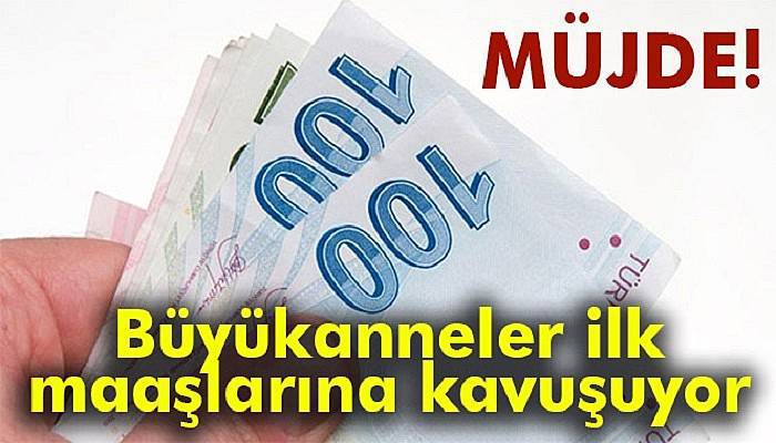 Bakan Müezzinoğlu'ndan büyükanneye torun maaşı müjdesi