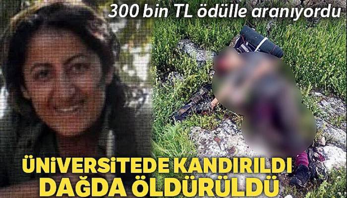 Üniversitede kandırıldı, dağda öldürüldü