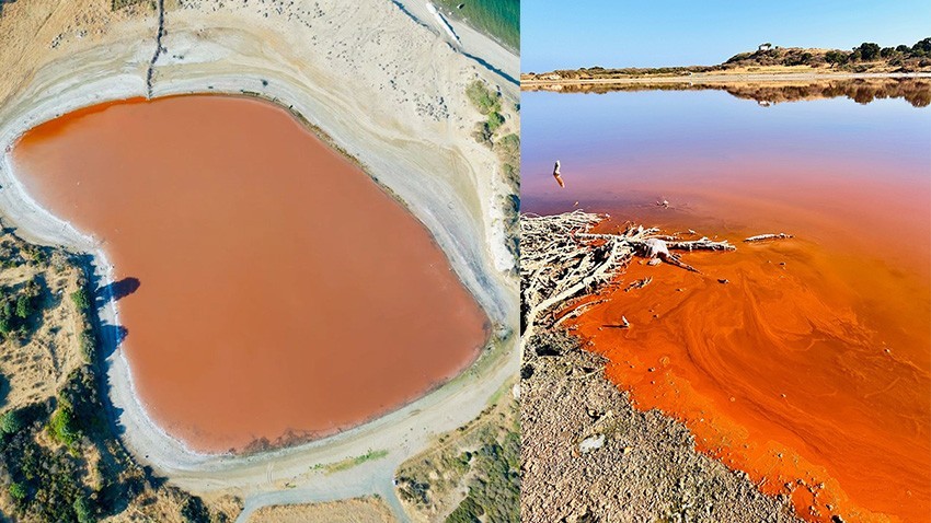 Pembe gölün renk kaynağı