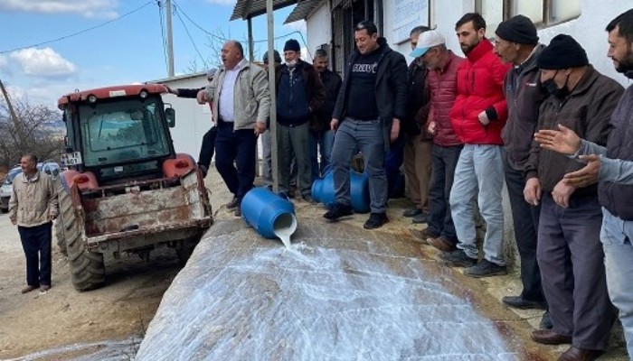 SÜT ÜRETİCİLERİ SÜT DÖKEREK FİYATLARA İSYAN ETTİ