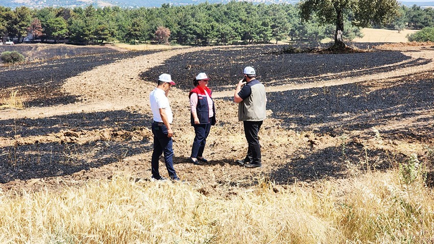 Yangında Zarar Gören 11 Hektar Tarım Arazisinde Yaralar Sarılacak