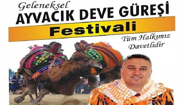 Ayvacık'ta deve güreşi heyecanı