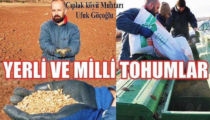 ÇANAKKALE'DE YERLİ VE MİLLİ TOHUMLAR TOPRAKLA BULUŞTURULDU