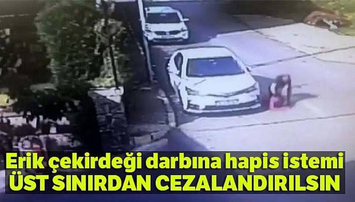 Erik çekirdeği dayağına 15 yıl 6 ay hapis istemi