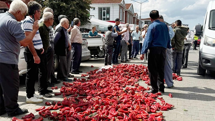 Yenice’de üretici isyan etti: Kapya biberleri yola döktü