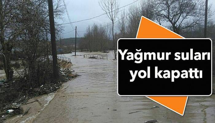 Yağmur suları yol kapattı