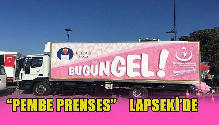 ‘Pembe Prenses’ aracı Lapseki’de