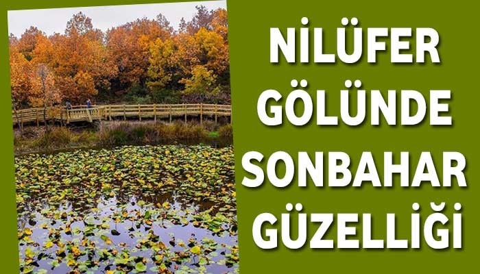 Nilüfer Gölünde Sonbahar Güzelliği