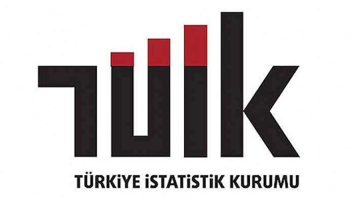  TÜİK, katı yakıt istatistiklerini açıkladı