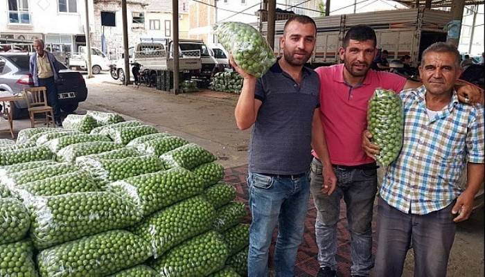  Kısa süre fiyatı 400 lira olan erik şimdi 7 TL