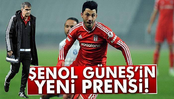 Şenol Güneş'in yeni prensi Tolgay Arslan