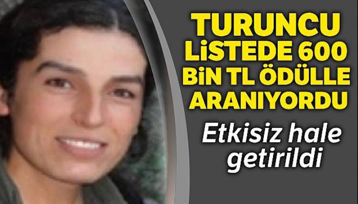 600 bin TL ödülle aranan Turuncu Liste'deki terörist etkisiz hale getirildi