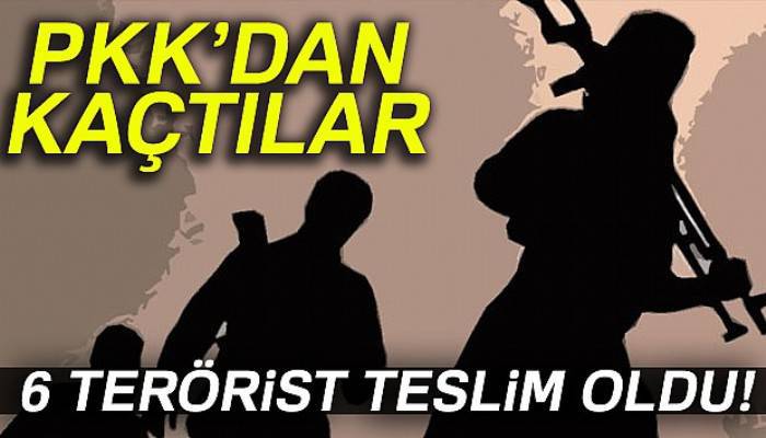 Şırnak’ta 6 terörist teslim oldu