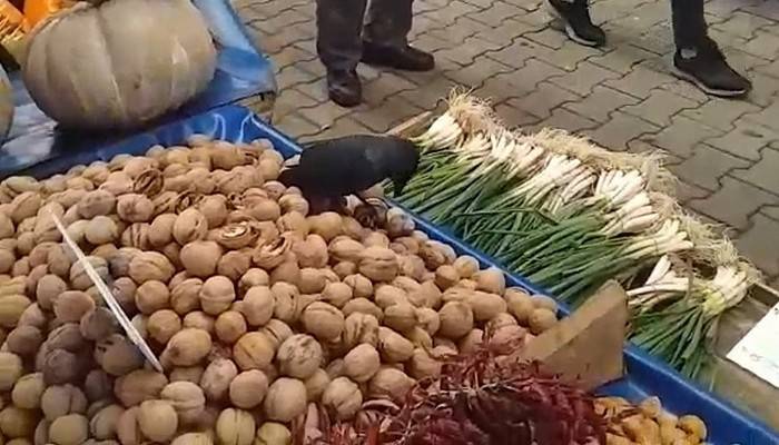 Karga, pazar tezgahındaki cevizleri yerken görüntülendi