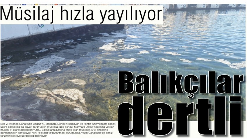 Müsilaj hızla yayılıyor, balıkçılar dertli