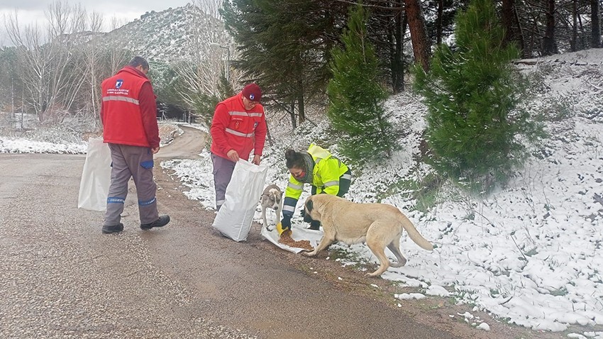 Soğuk havada hayvanlara mama desteği