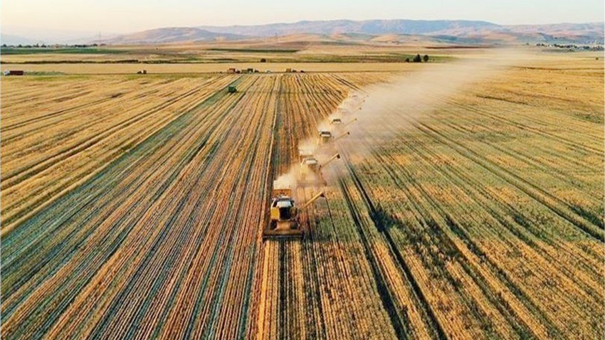 Türkiye'nin tarımsal hasılası 68,5 milyar dolara ulaştı