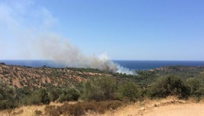 ÇANAKKALE’DE AYNI BÖLGEDE 6’NCI ORMAN YANGINI