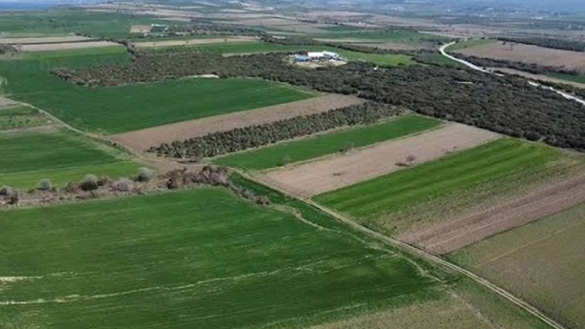 Çanakkale Savaşlarından Kalma Yeni Bir Şehitlik Alanı Tespit Edildi