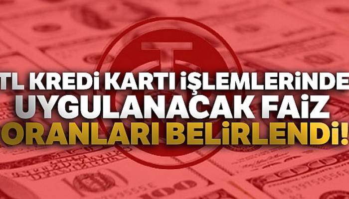 TL kredi kartı işlemlerinde uygulanacak faiz oranları belirlendi