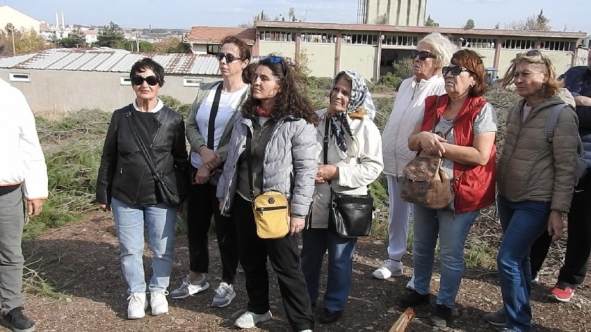 Ağaç kesimine karşı tepkiler sonuç verdi 